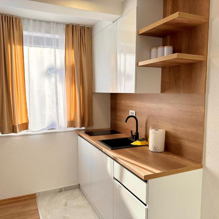 Apartmani RIS - Apartman sa 1 Spavaćom Sobom - 17