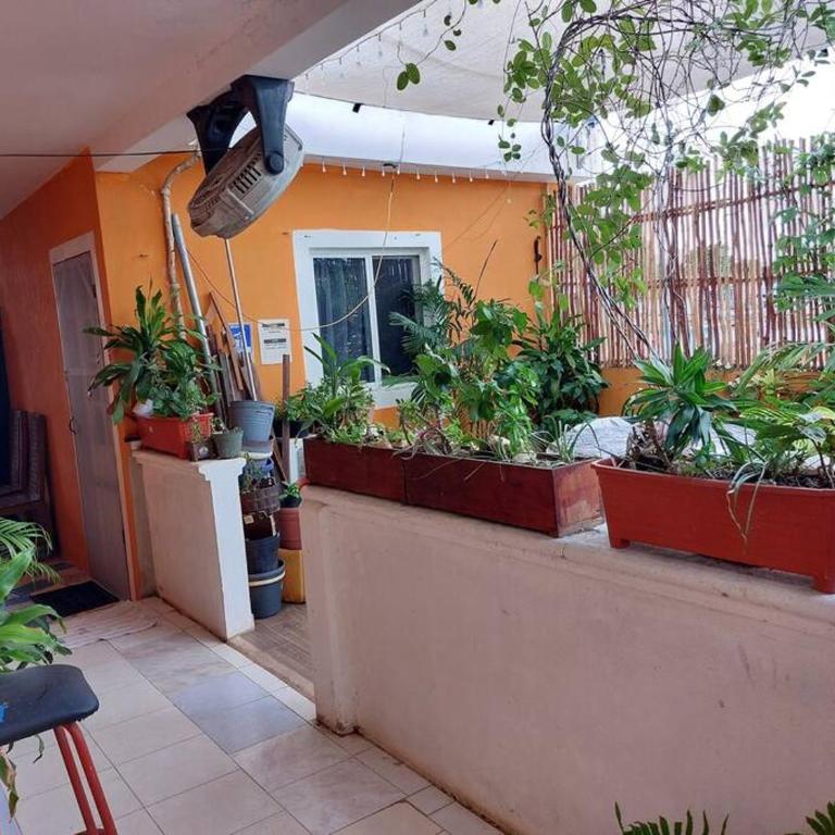 5 Estudio Planta Alta con terraza - One-Bedroom Apartment - 4