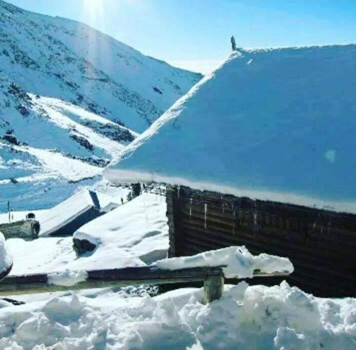 Refu Denahi - Chalet de 1 dormitorio - 6