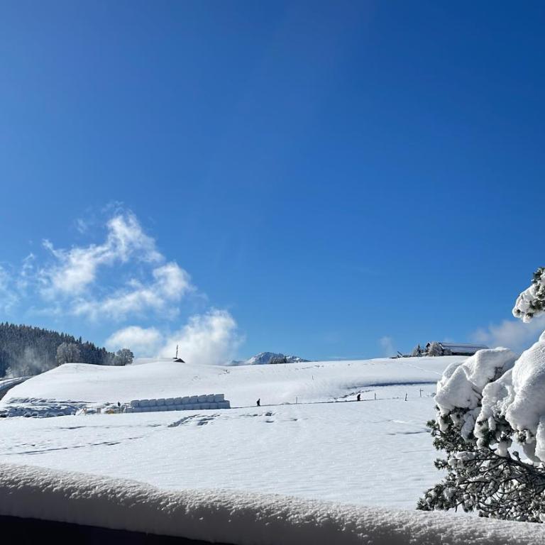 Studio dans un chalet avec jardin privatif - Apartment mit 1 Schlafzimmer - 6