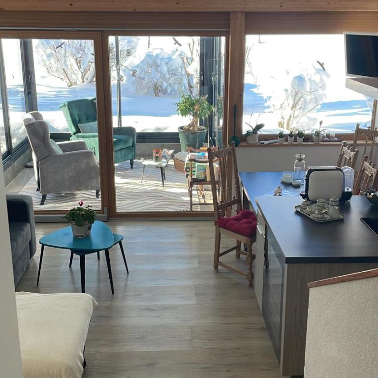Studio dans un chalet avec jardin privatif - Apartment mit 1 Schlafzimmer - 1