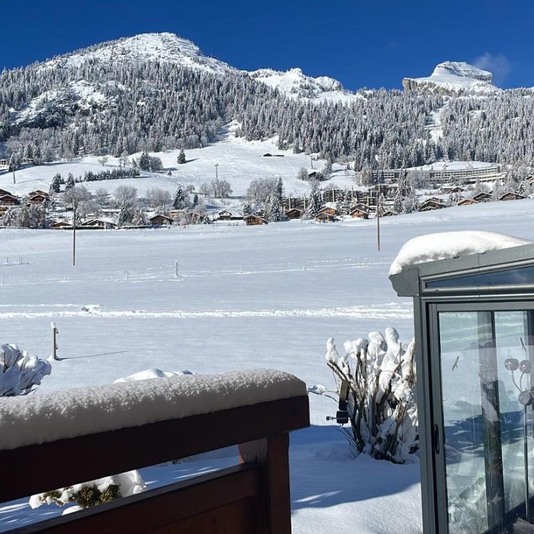 Studio dans un chalet avec jardin privatif - Apartment mit 1 Schlafzimmer - 2