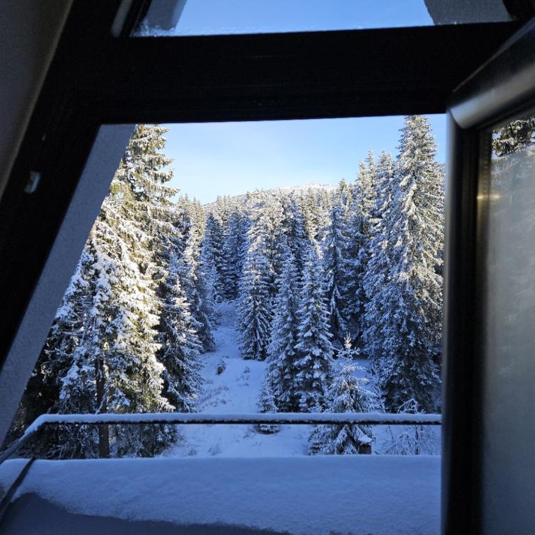 MASSIV Kopaonik centar lux apartmani - Apartman sa 1 Spavaćom Sobom i Pogledom na Park - 74