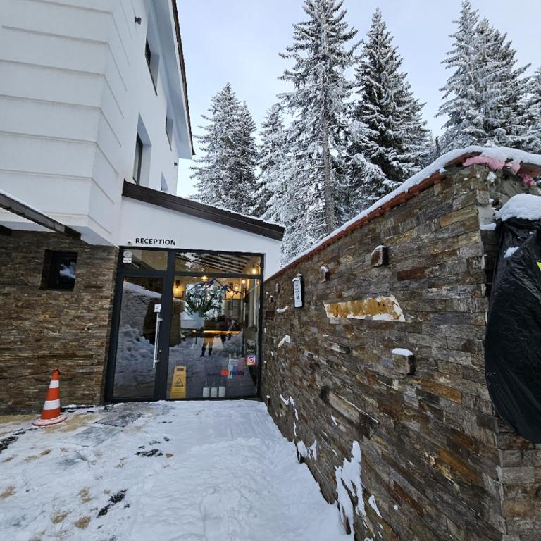 MASSIV Kopaonik centar lux apartmani - Apartman sa 1 Spavaćom Sobom i Pogledom na Park - 13