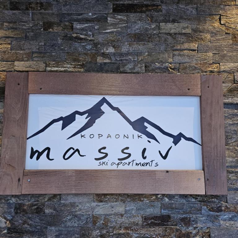 MASSIV Kopaonik centar lux apartmani - Apartman sa 1 Spavaćom Sobom i Pogledom na Park - 61