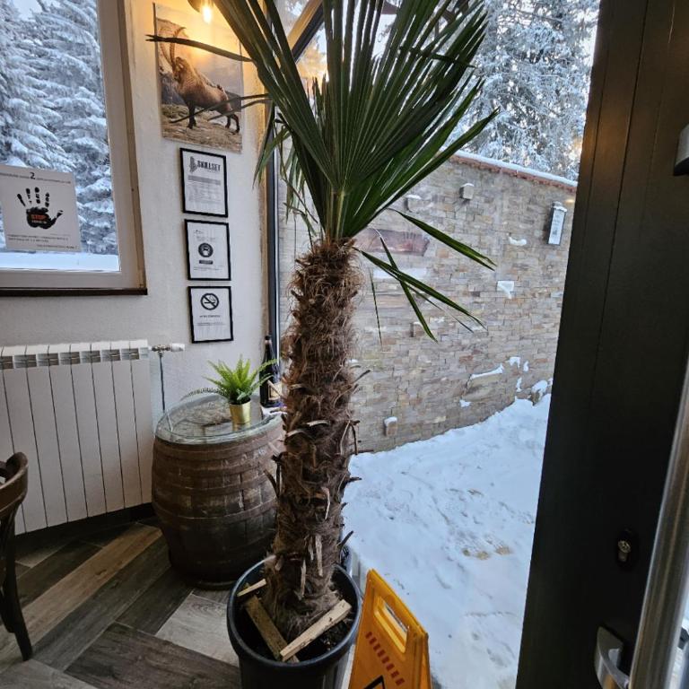 MASSIV Kopaonik centar lux apartmani - Apartman sa 1 Spavaćom Sobom i Pogledom na Park - 69
