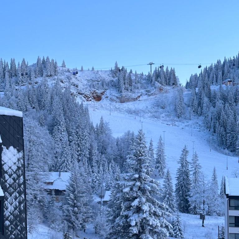 Apartmani Snowflake - Apartment with Mountain View - 12