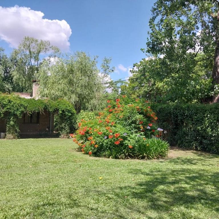 Casa Quinta El Cultivo - Three-Bedroom House - 18