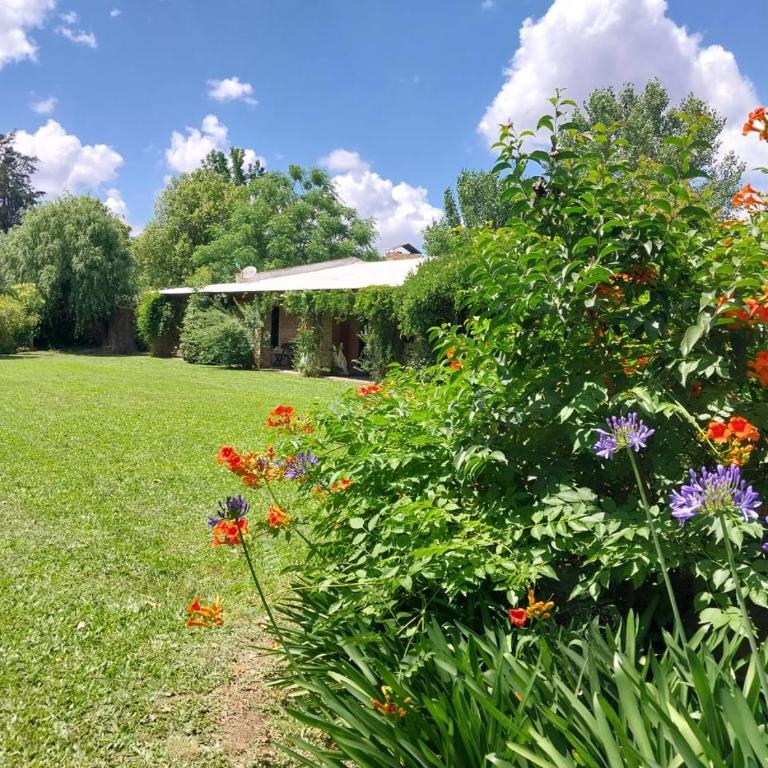 Casa Quinta El Cultivo - Casa de 3 dormitorios - 20