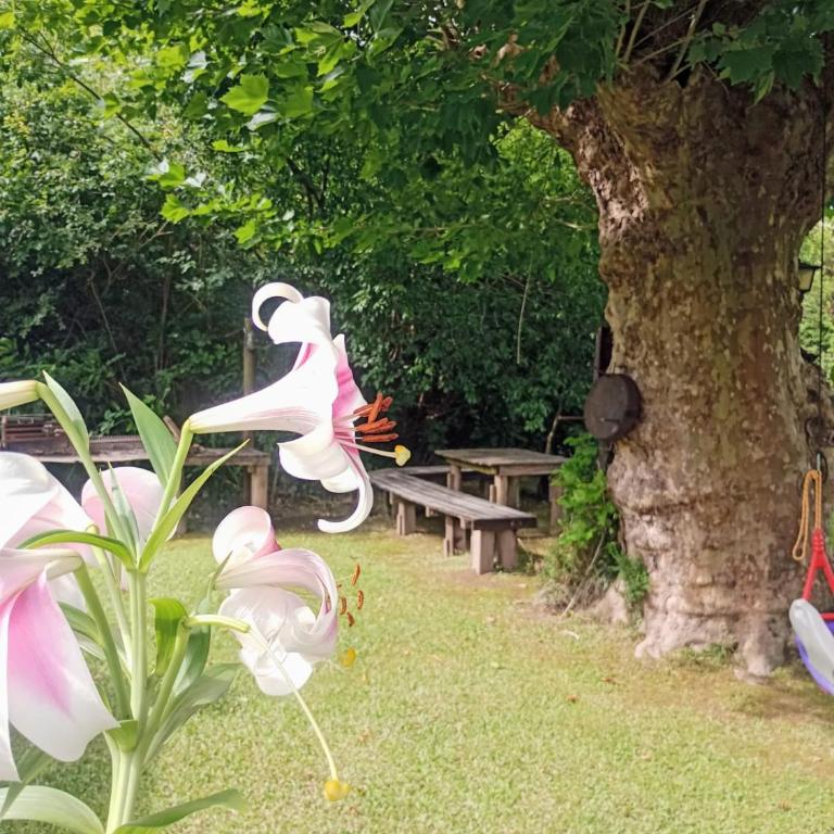 Casa quinta de rio - Villa de 2 dormitorios - 11