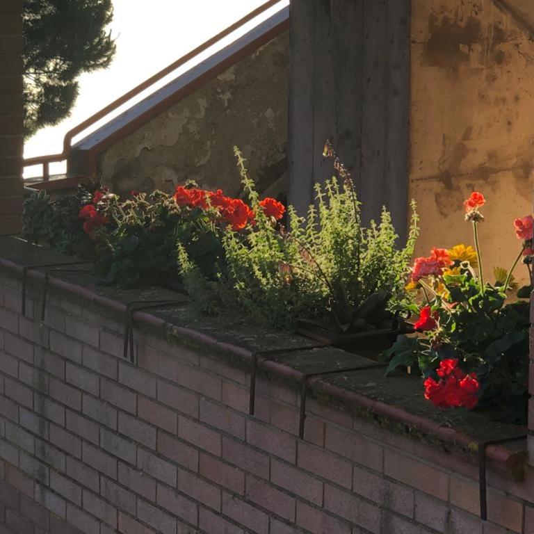Il Nido di Rondine - Two-Bedroom Apartment - 62