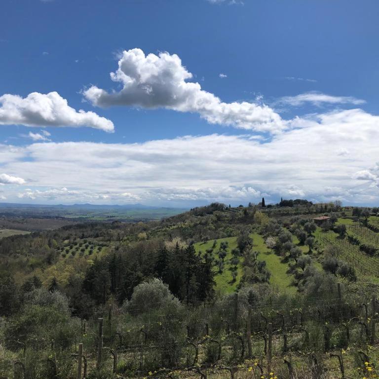 Il Nido di Rondine - Two-Bedroom Apartment - 68