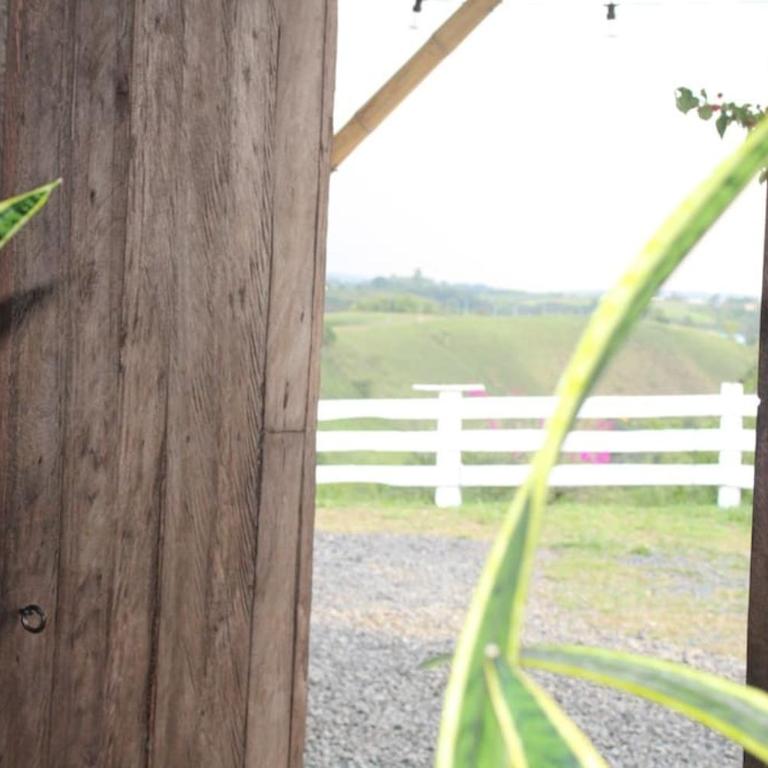 desactivada - Two-Bedroom House - 11