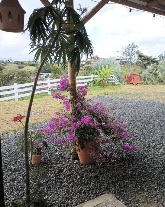 desactivada - Two-Bedroom House - 19