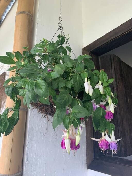 desactivada - Two-Bedroom House - 24