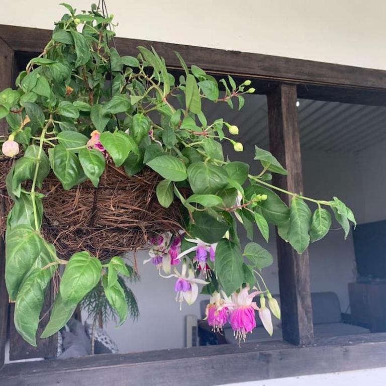 desactivada - Two-Bedroom House - 34