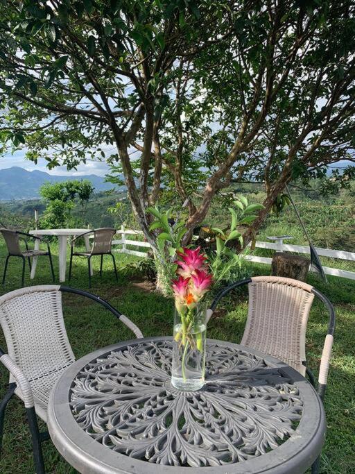 desactivada - Two-Bedroom House - 46