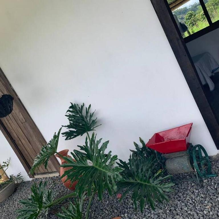 desactivada - Two-Bedroom House - 57