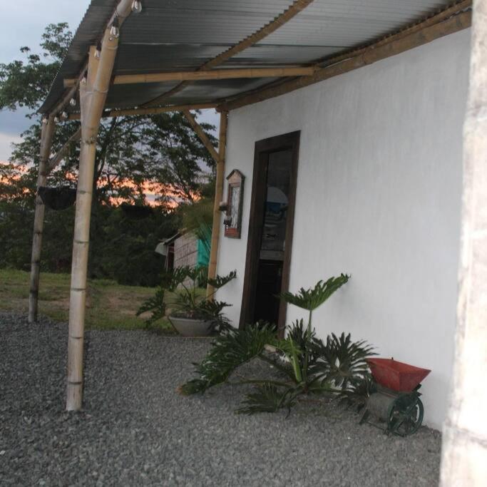 desactivada - Two-Bedroom House - 60