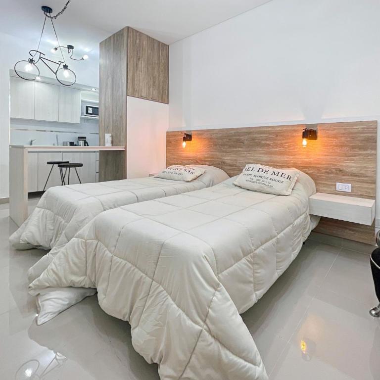 This studio is located in the historic and cultural neighborhood of San Telmo, k - Apartamento - 1