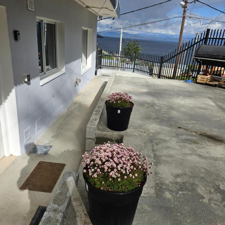 Dpto amplio con vista a la bahía - Apartamento de 2 dormitorios - 29