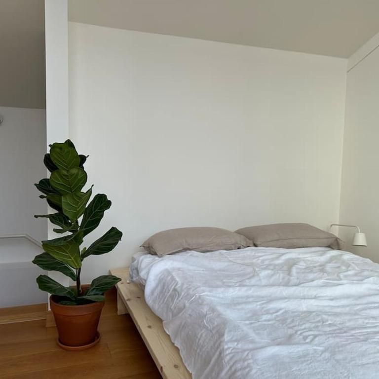 Casa Alegría - Appartamento con 2 Camere da Letto - 15