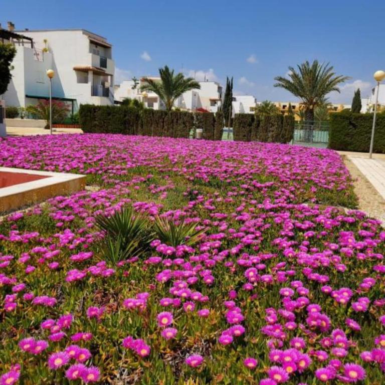 Acceso directo a playa naturista de Vera - Apartamento de 1 dormitorio - 6