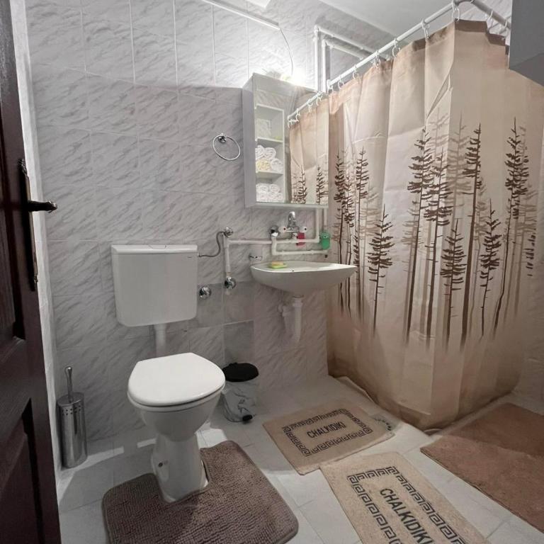 Apartman Cogan - 100m from Gondola - Brzece - Apartman sa 1 Spavaćom Sobom - 11