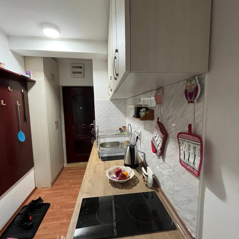 Apartman Cogan - 100m from Gondola - Brzece - Apartman sa 1 Spavaćom Sobom - 4