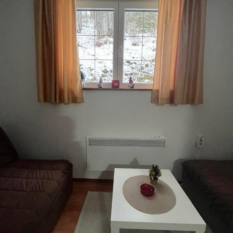 Apartman Cogan - 100m from Gondola - Brzece - Apartman sa 1 Spavaćom Sobom - 15