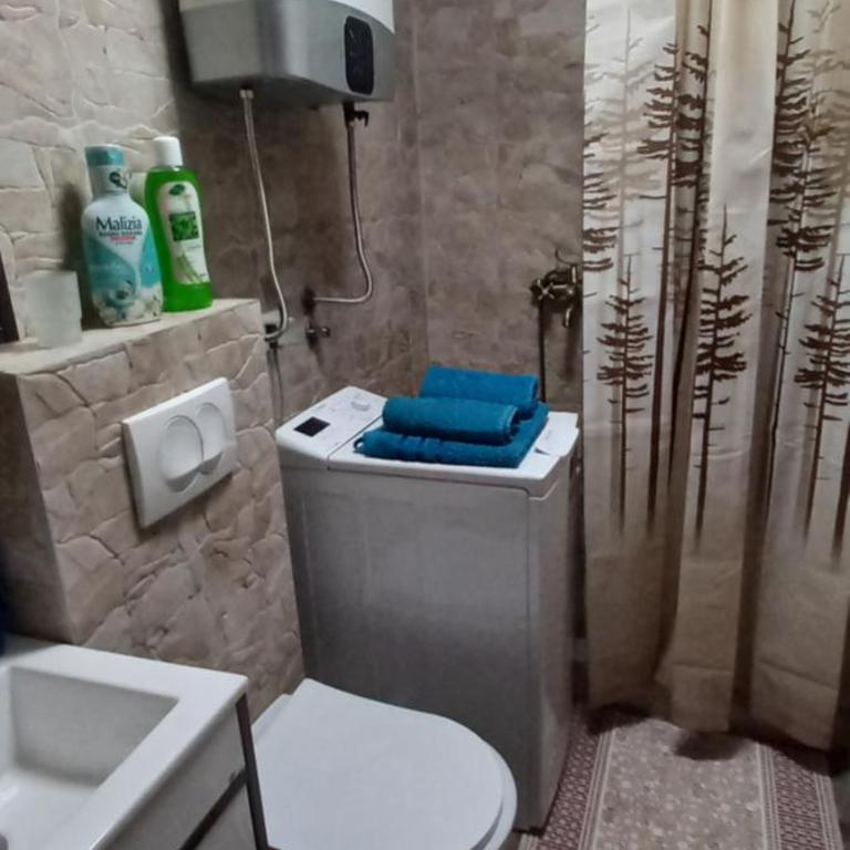 Botanic Garden 1 - Apartman sa 1 Spavaćom Sobom - 23