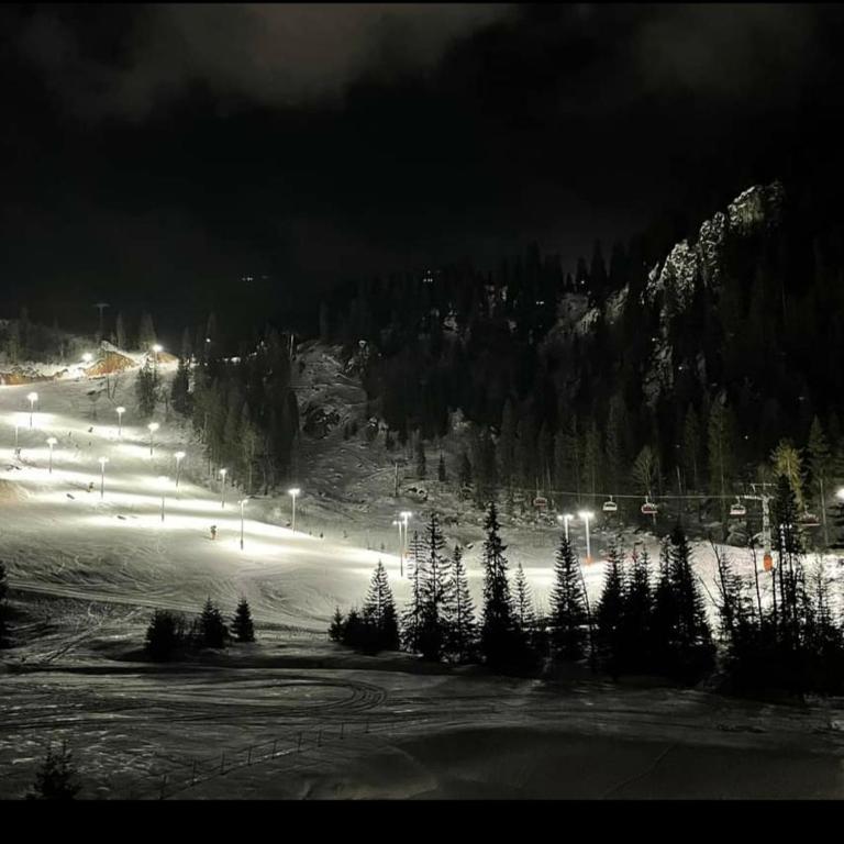 Apartman Kaja (ski-to-door, Jahorina) - One-Bedroom Apartment - 29
