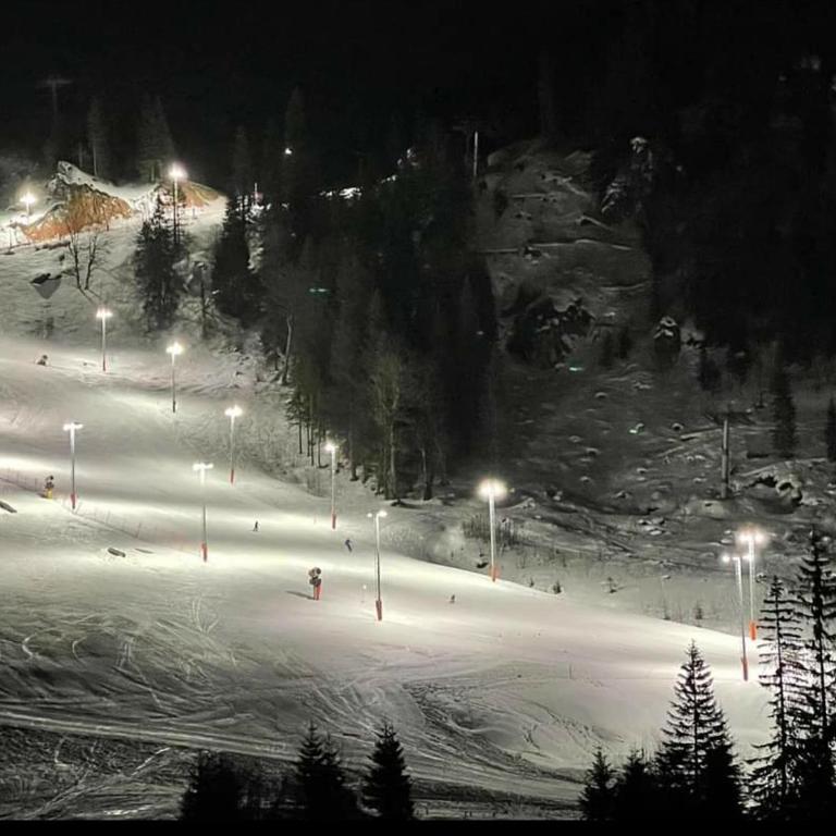 Apartman Kaja (ski-to-door, Jahorina) - One-Bedroom Apartment - 30