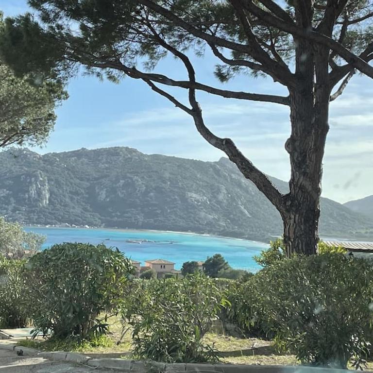 Appartement & Piscine Santa Giulia - Appartamento con 2 Camere da Letto - 11