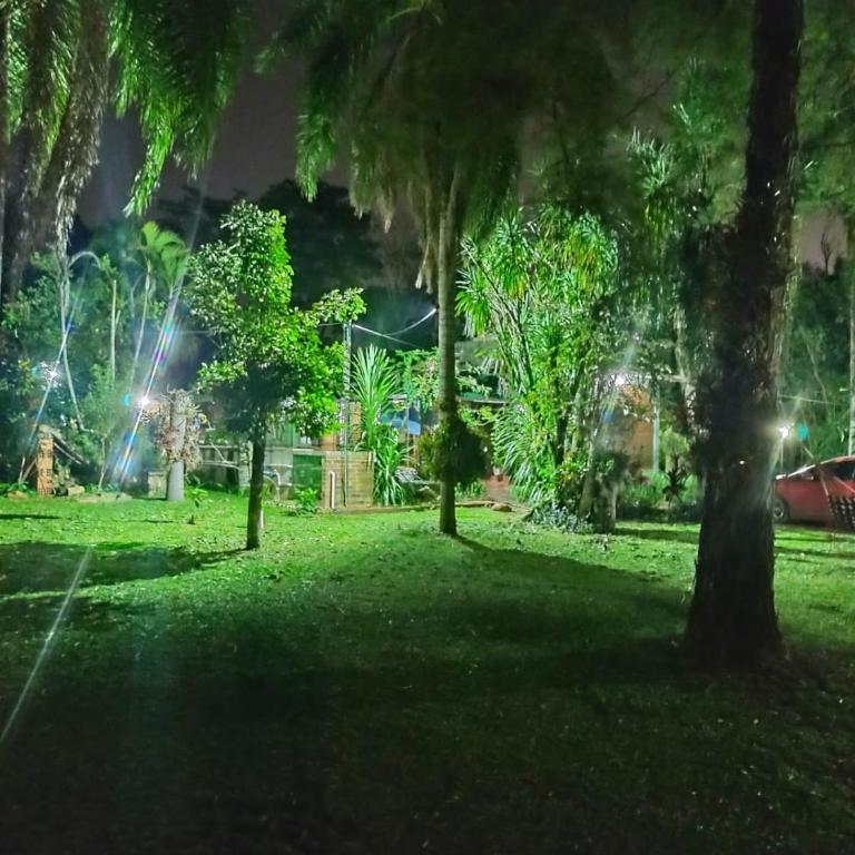 Quinta La calmita Iguazú - Casa de 2 dormitorios - 39