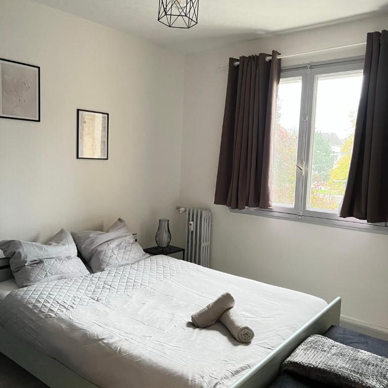 CICONIA : CENTRE-VILLE MULHOUSE, PARC NOUVEAUX BASSINS A PROXIMITE - Appartamento con 2 Camere da Letto - 3