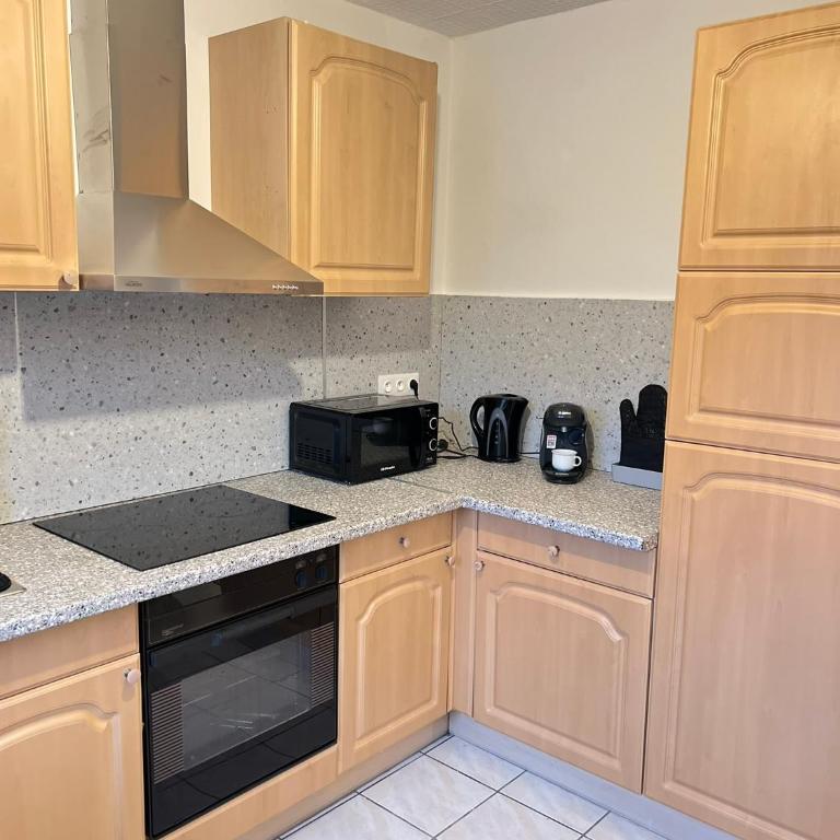 CICONIA : CENTRE-VILLE MULHOUSE, PARC NOUVEAUX BASSINS A PROXIMITE - Appartamento con 2 Camere da Letto - 4