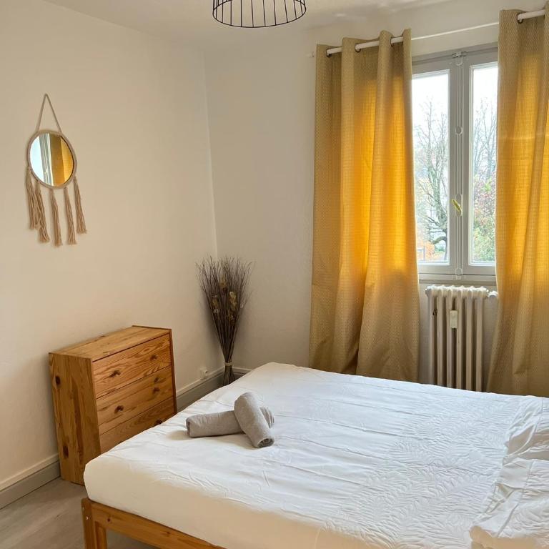 CICONIA : CENTRE-VILLE MULHOUSE, PARC NOUVEAUX BASSINS A PROXIMITE - Appartamento con 2 Camere da Letto - 5