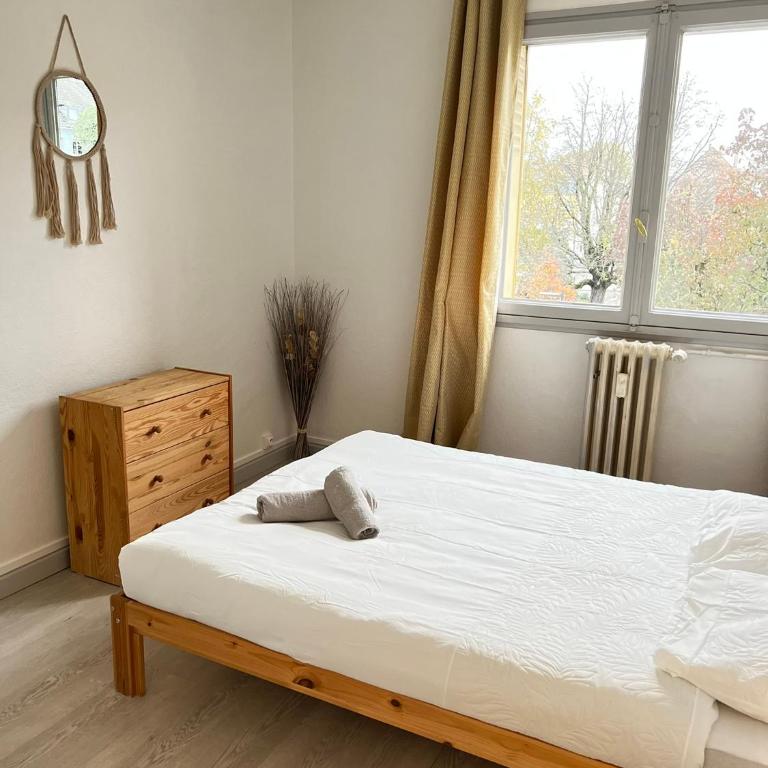 CICONIA : CENTRE-VILLE MULHOUSE, PARC NOUVEAUX BASSINS A PROXIMITE - Appartamento con 2 Camere da Letto - 7