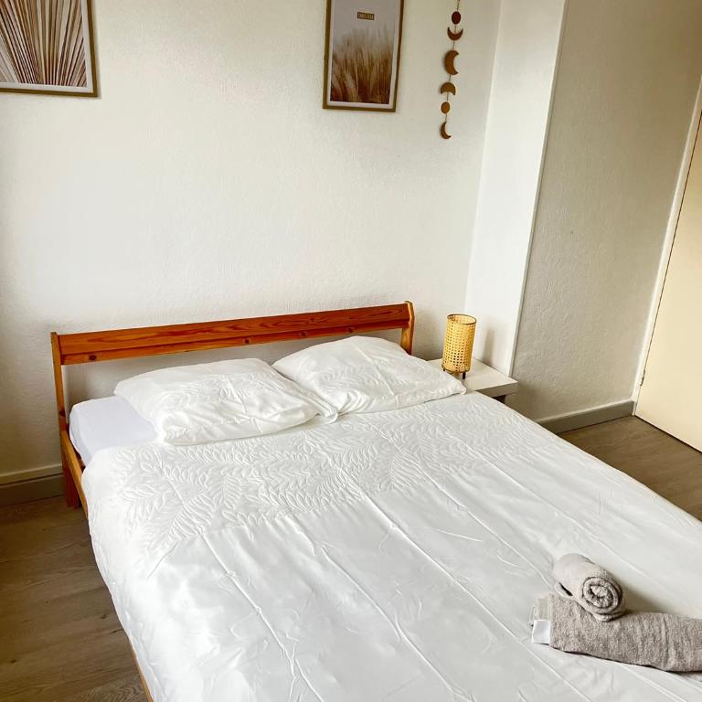 CICONIA : CENTRE-VILLE MULHOUSE, PARC NOUVEAUX BASSINS A PROXIMITE - Appartamento con 2 Camere da Letto - 10