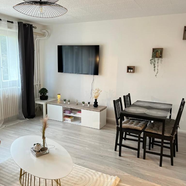 CICONIA : CENTRE-VILLE MULHOUSE, PARC NOUVEAUX BASSINS A PROXIMITE - Appartamento con 2 Camere da Letto - 13