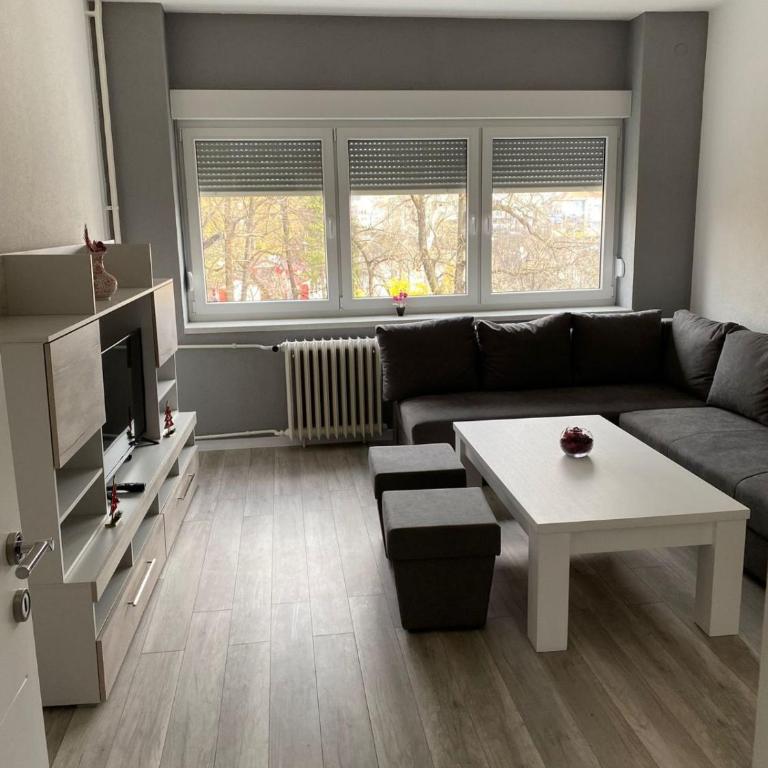 Apartman Ćetojević - Apartman sa 2 Spavaće Sobe - 4