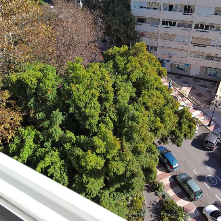 Andreas Apartament Marbella Centro - One-Bedroom Apartment - 42