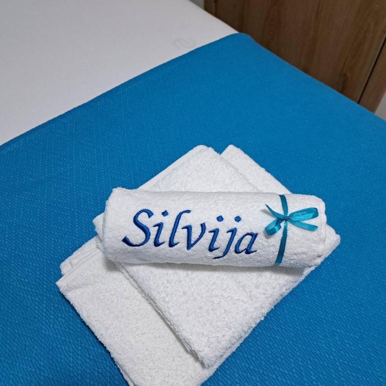 Apartman Silvija Divčibare - Apartman sa 1 Spavaćom Sobom - 18