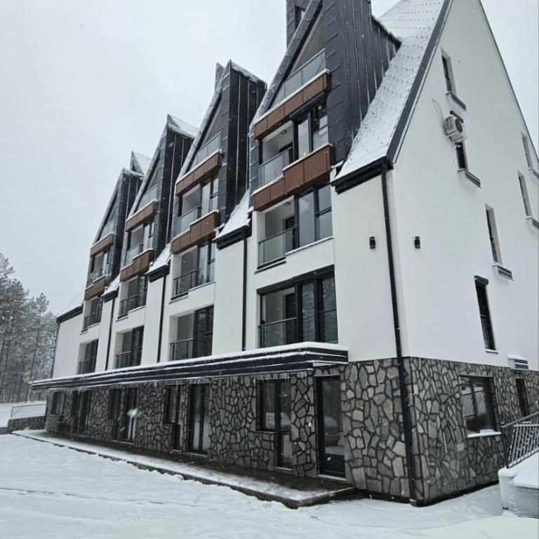 Apartman Silvija Divčibare - Apartman sa 1 Spavaćom Sobom - 9