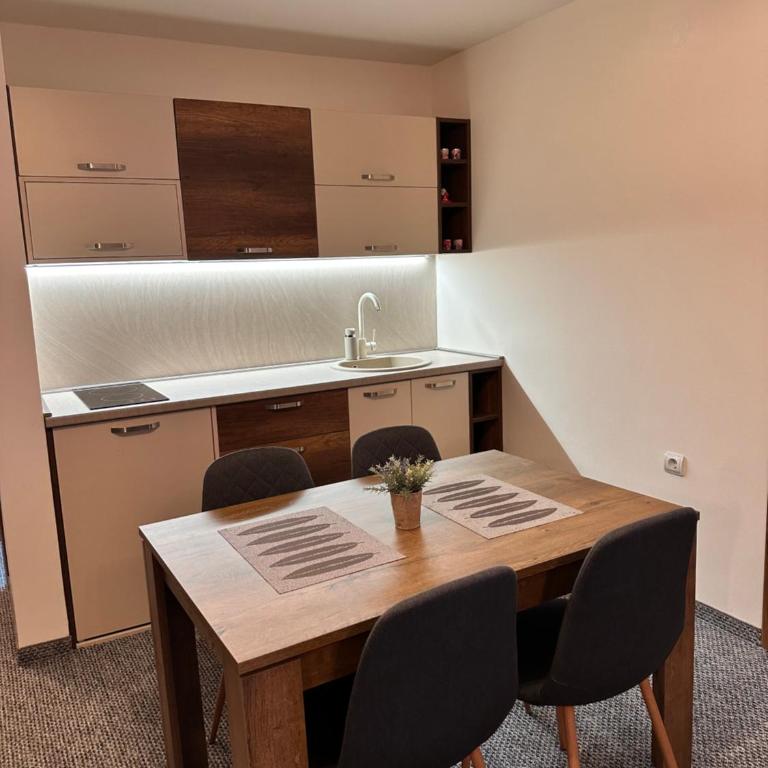 Pansion Zlatna Zita - One-Bedroom Apartment - 10