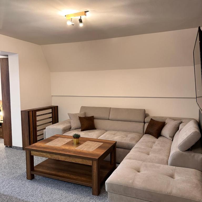 Pansion Zlatna Zita - Family Studio - 10