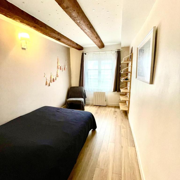 Strasbourg magnifique appartement centre ville Petite France - Three-Bedroom Apartment - 18