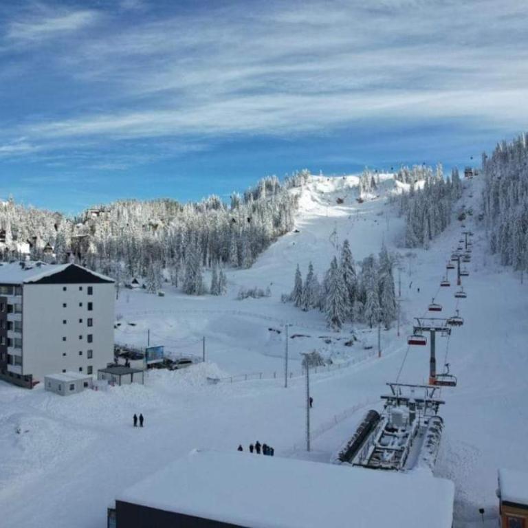 Apartman Tanja Jahorina - Apartman sa 1 Spavaćom Sobom - 40