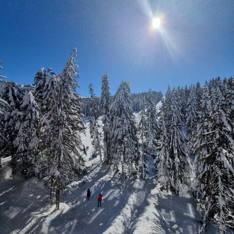 Woodside Kopaonik by Ister - Two-Bedroom Apartment - 29